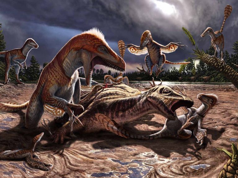 10 Awesome Facts About Utahraptor | Paleontology World